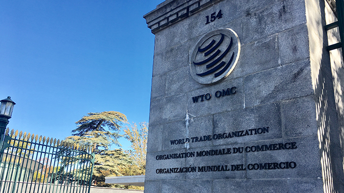 Wto Power The Courtroom as a Trade Tool: Why the WTO Must Confront Judicial Power ...