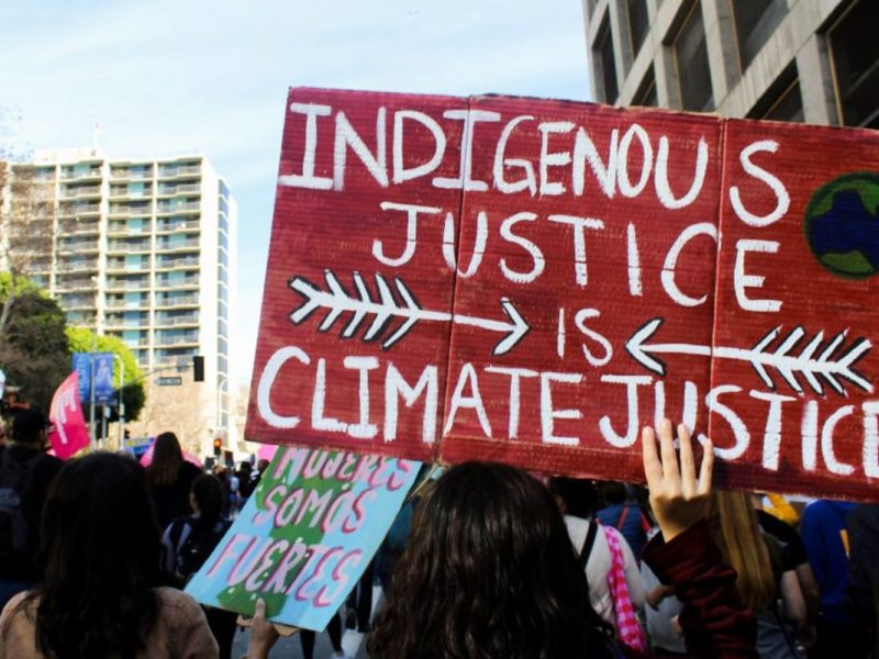 International Environmental Law’s Historical Blind-spot: Towards an Indigenous-Inclusive Framework