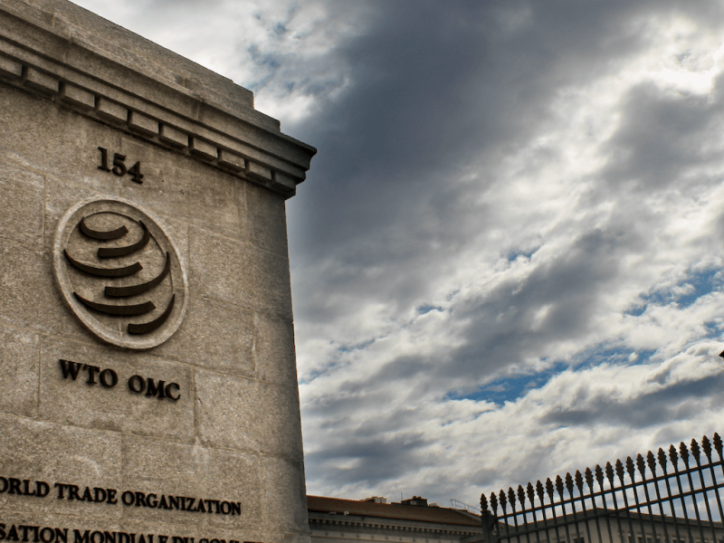 WTO Safeguards at Crossroads: The “Unforeseen Developments” Standard in a Changing Global Trade Order