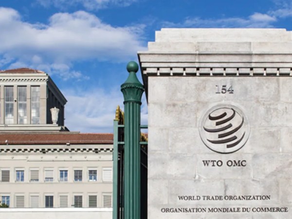 CBAM and the WTO: A Test of the EU’s Carbon Border Levy